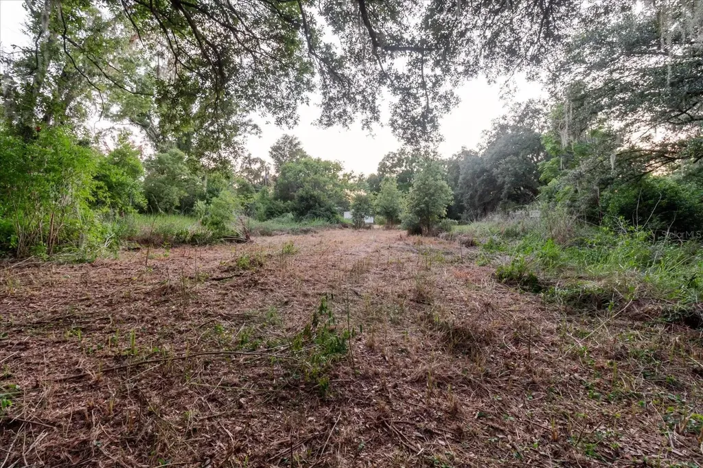 11152 Galaxy Lane Thonotosassa FL 33592