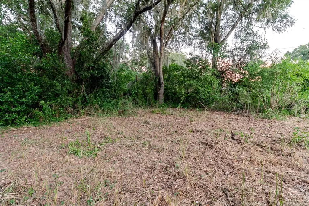 11152 Galaxy Lane Thonotosassa FL 33592