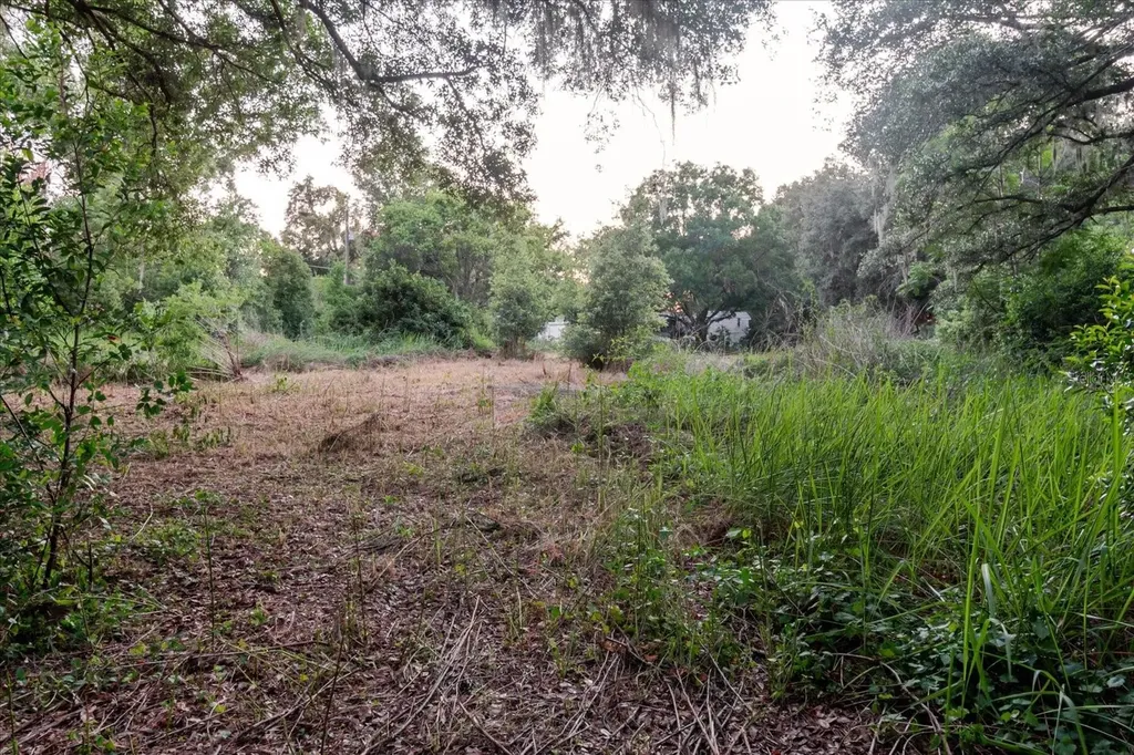 11152 Galaxy Lane Thonotosassa FL 33592