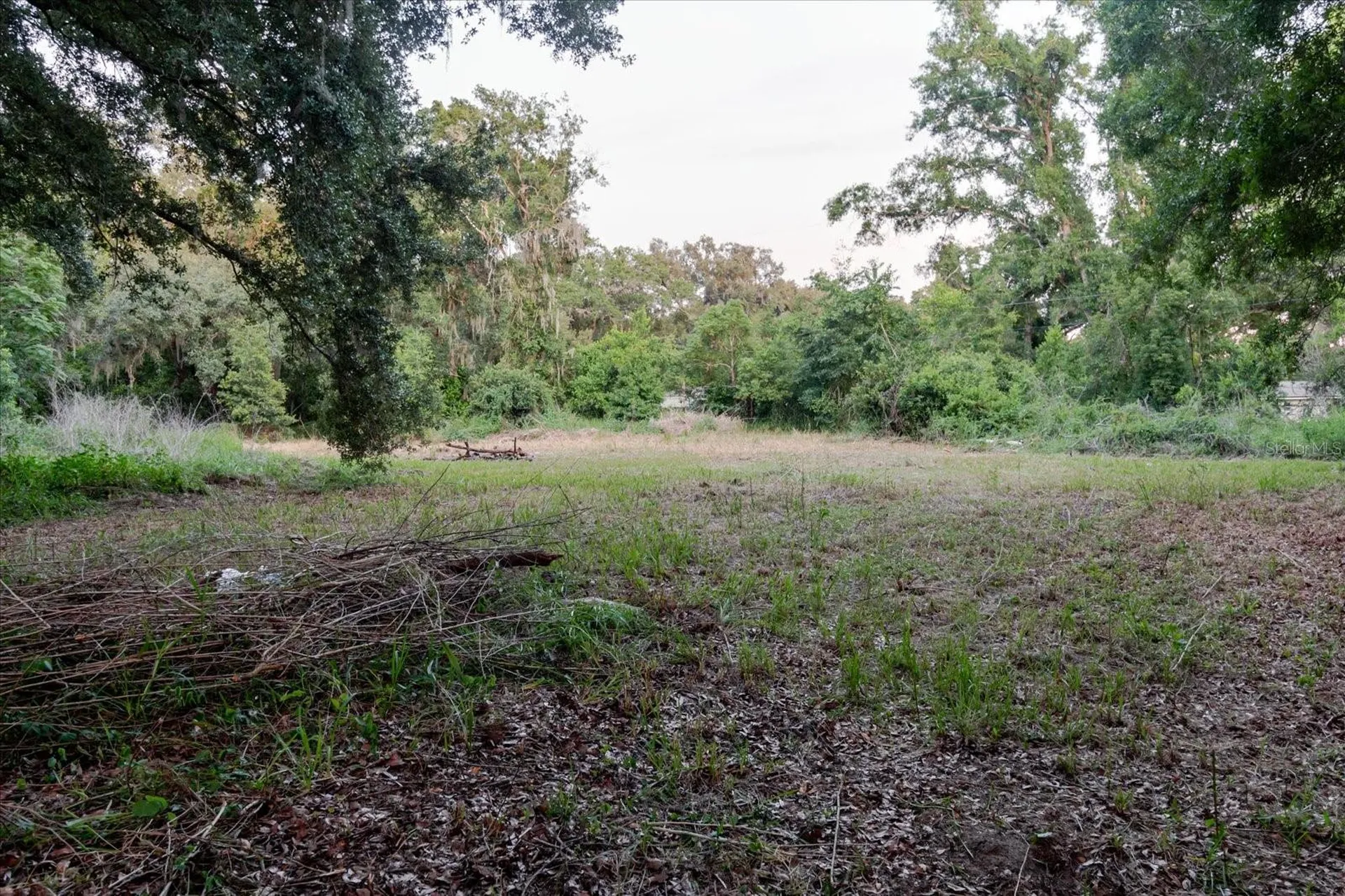 11152 Galaxy Lane Thonotosassa FL 33592