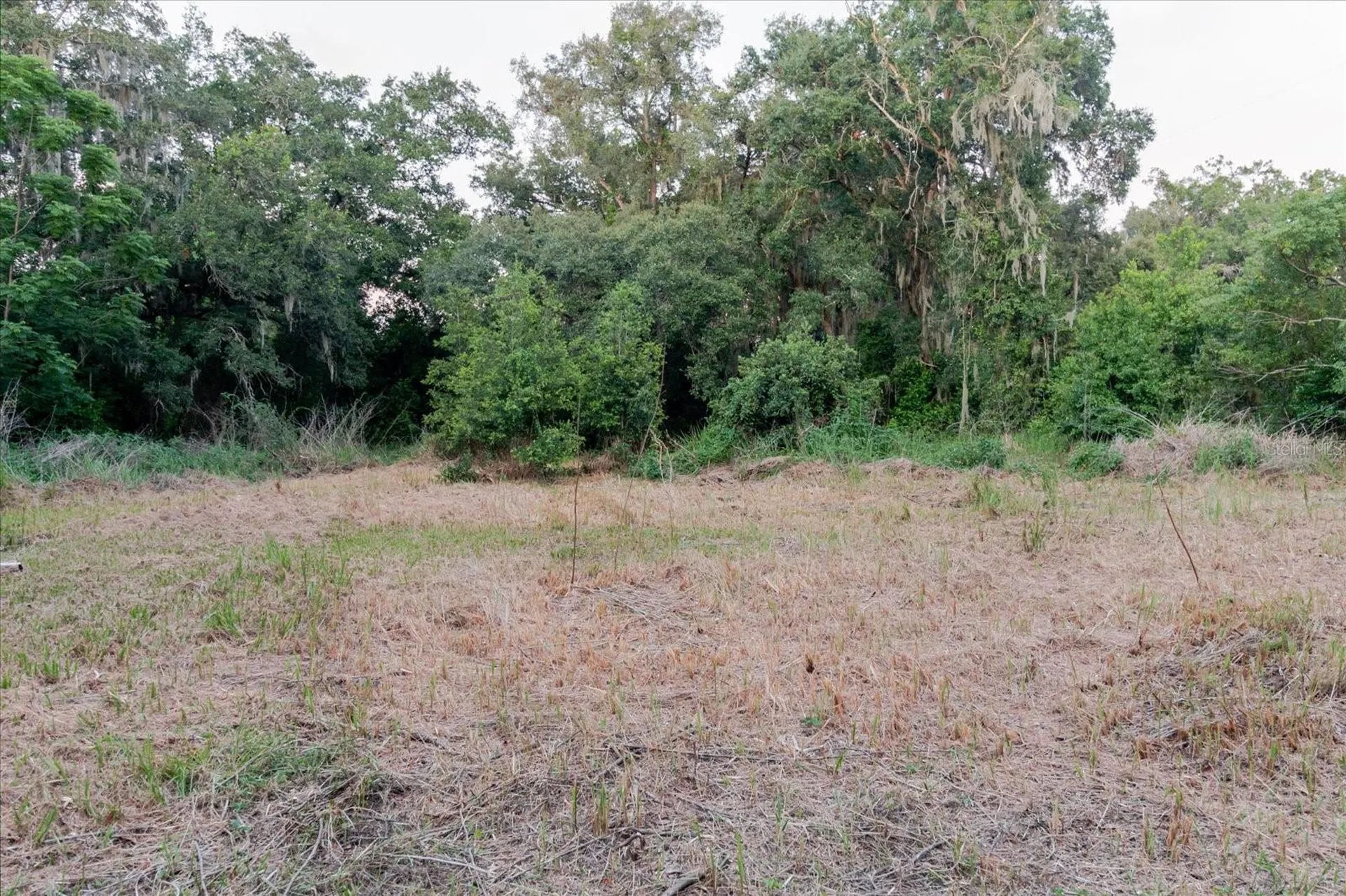 11152 Galaxy Lane Thonotosassa FL 33592