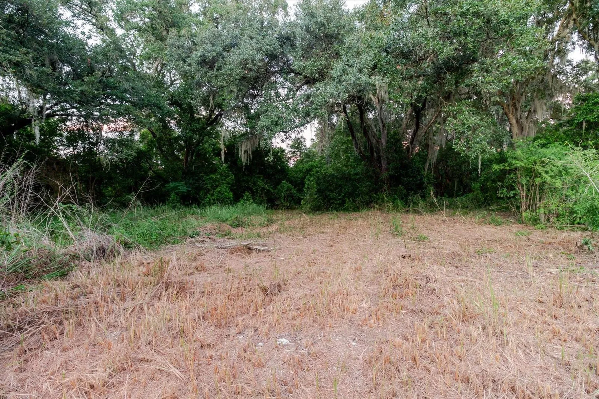11152 Galaxy Lane Thonotosassa FL 33592