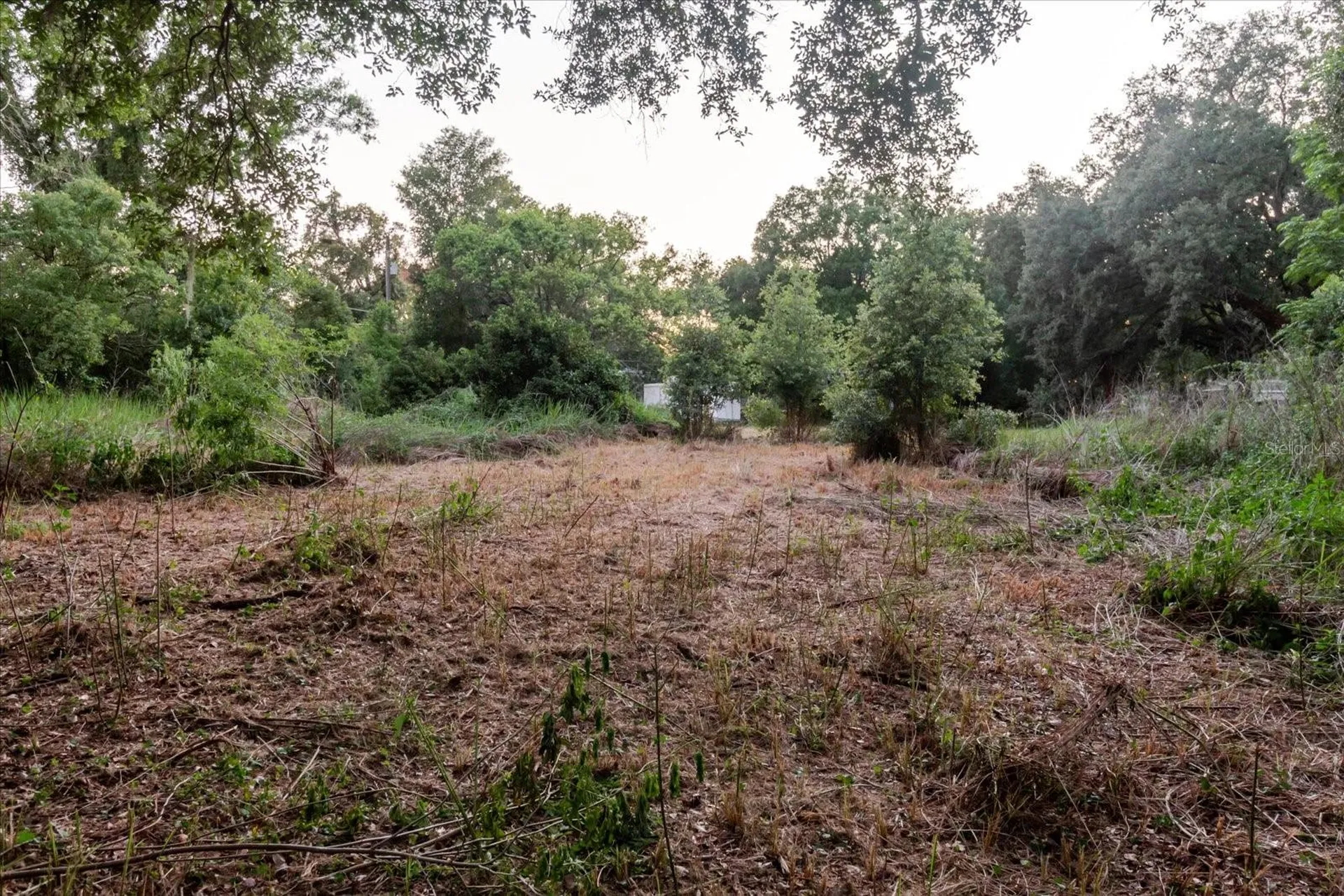 11152 Galaxy Lane Thonotosassa FL 33592