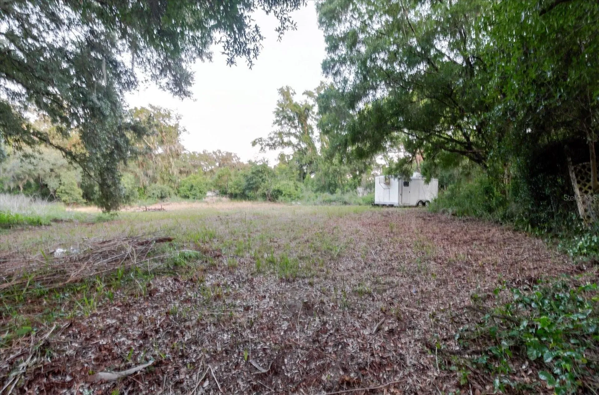 11152 Galaxy Lane Thonotosassa FL 33592