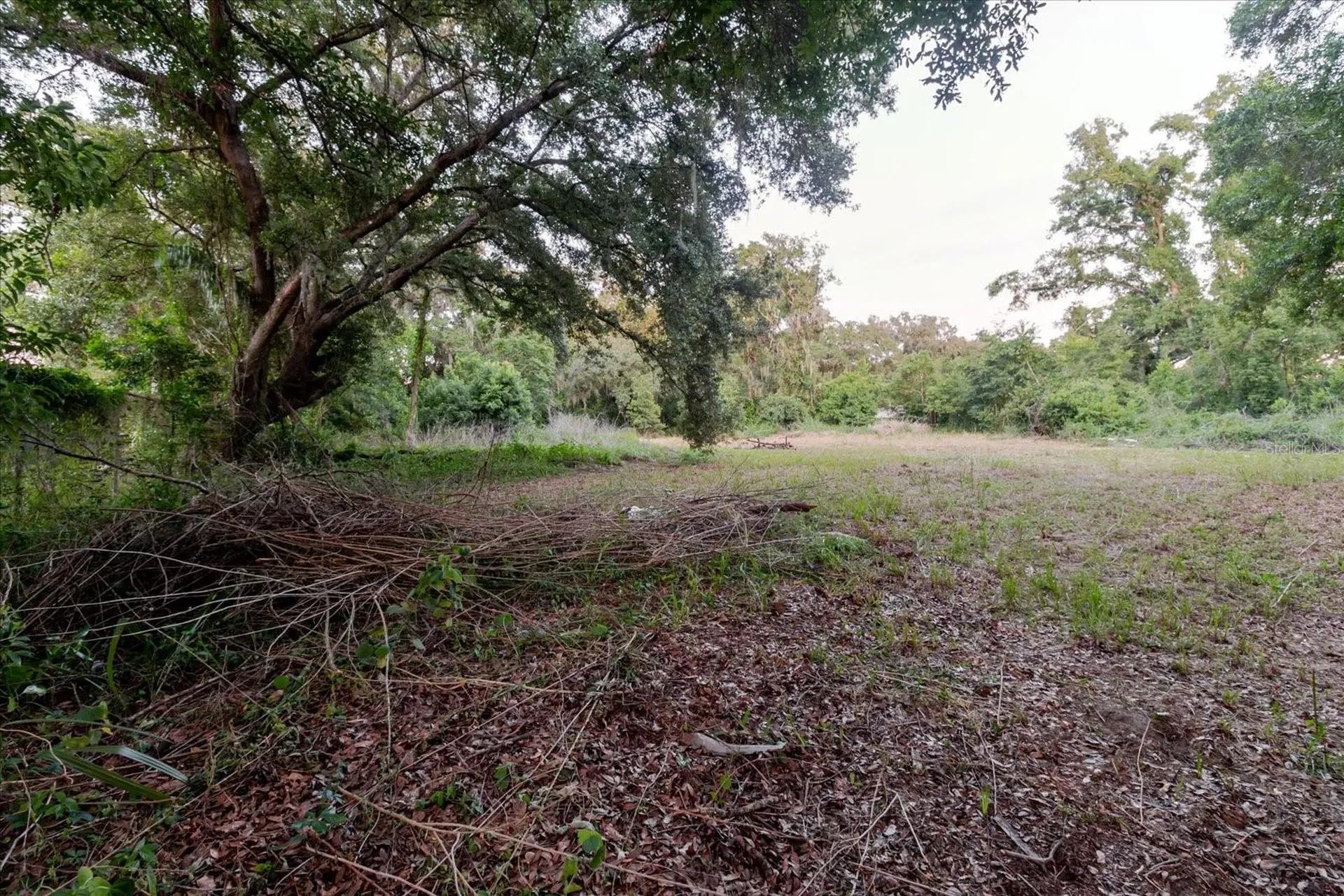 11152 Galaxy Lane Thonotosassa FL 33592