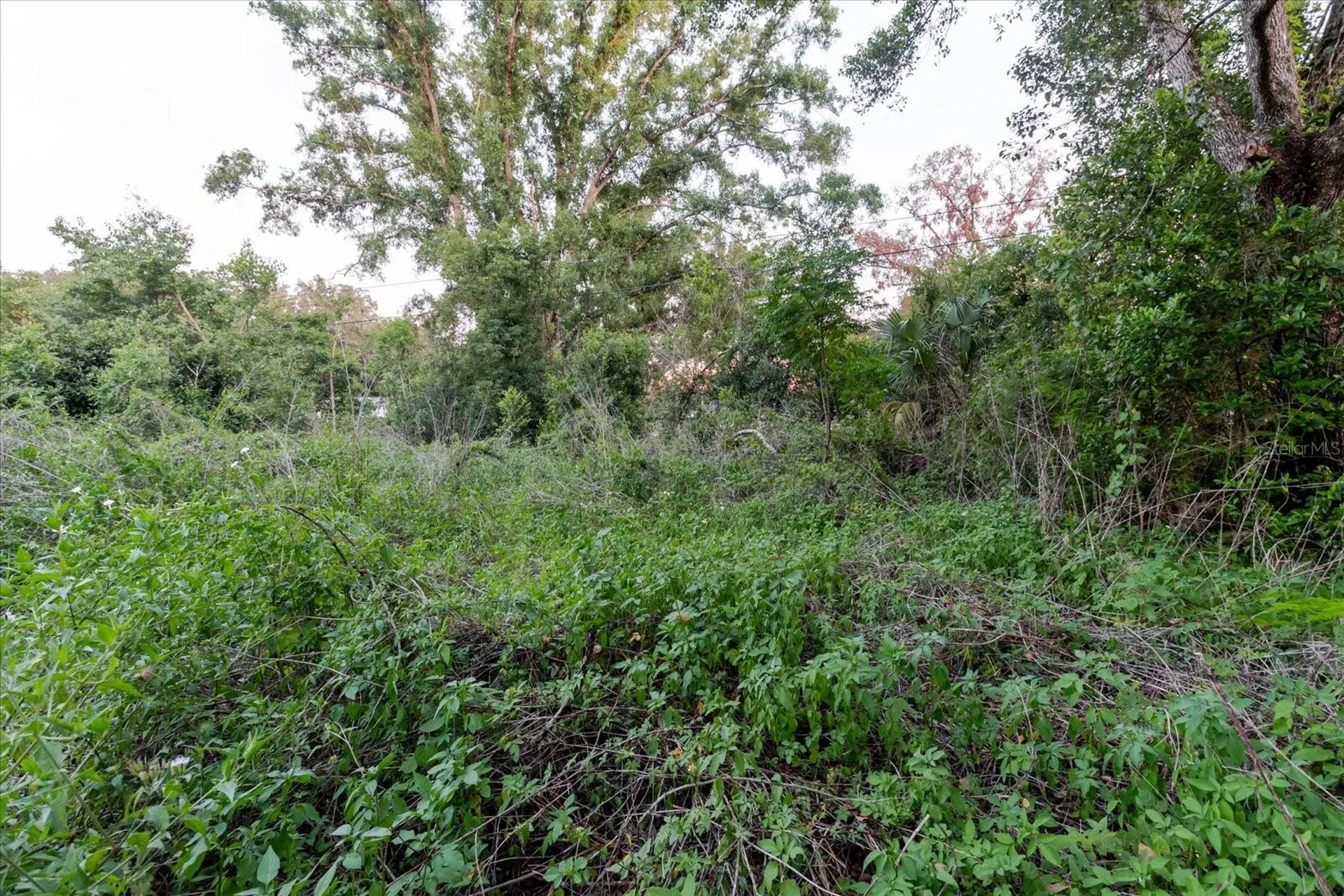 11152 Galaxy Lane Thonotosassa FL 33592