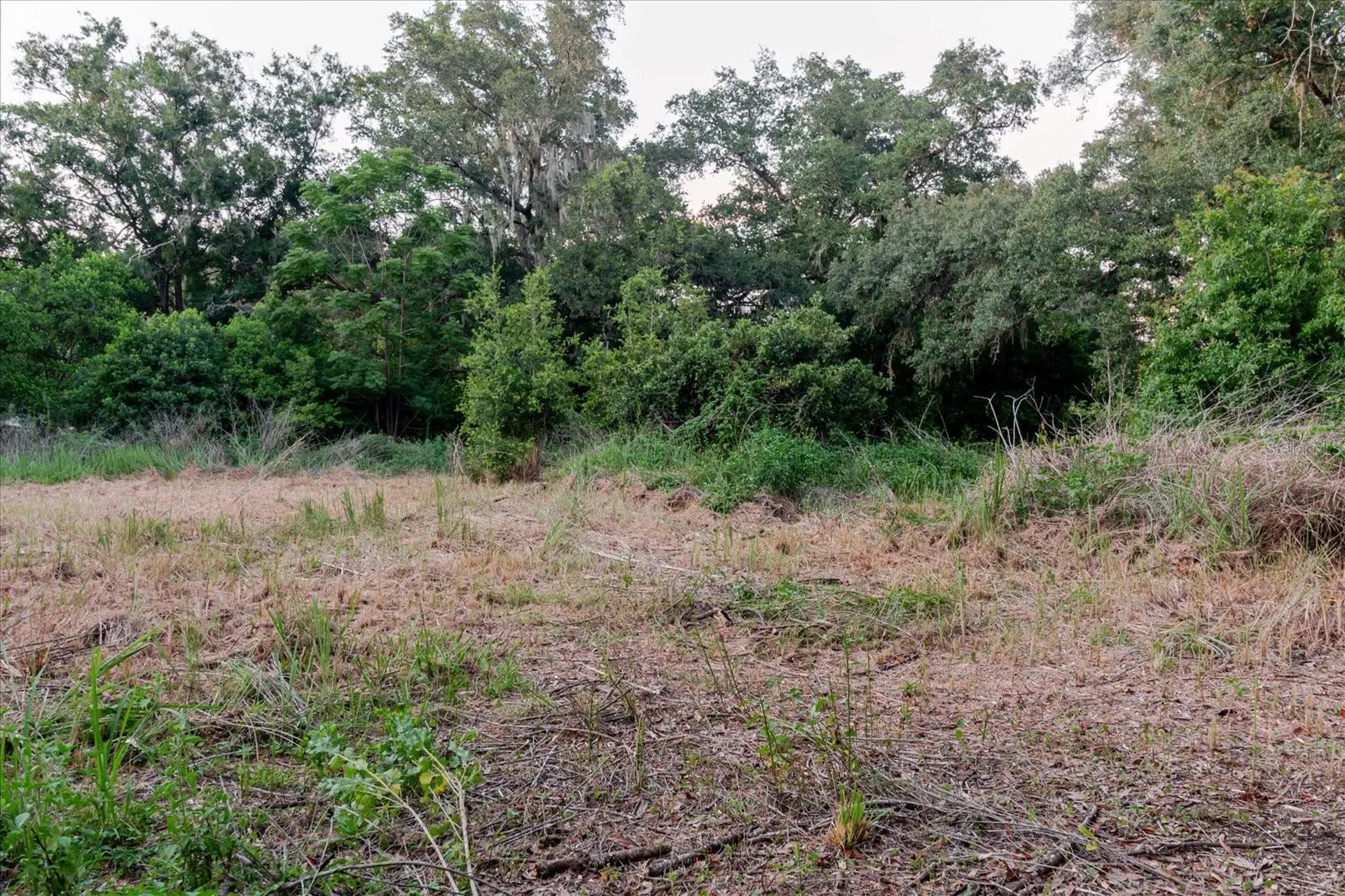 11152 Galaxy Lane Thonotosassa FL 33592