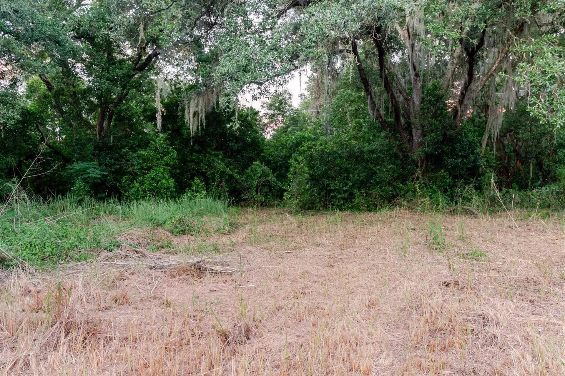 11152 Galaxy Lane Thonotosassa FL 33592