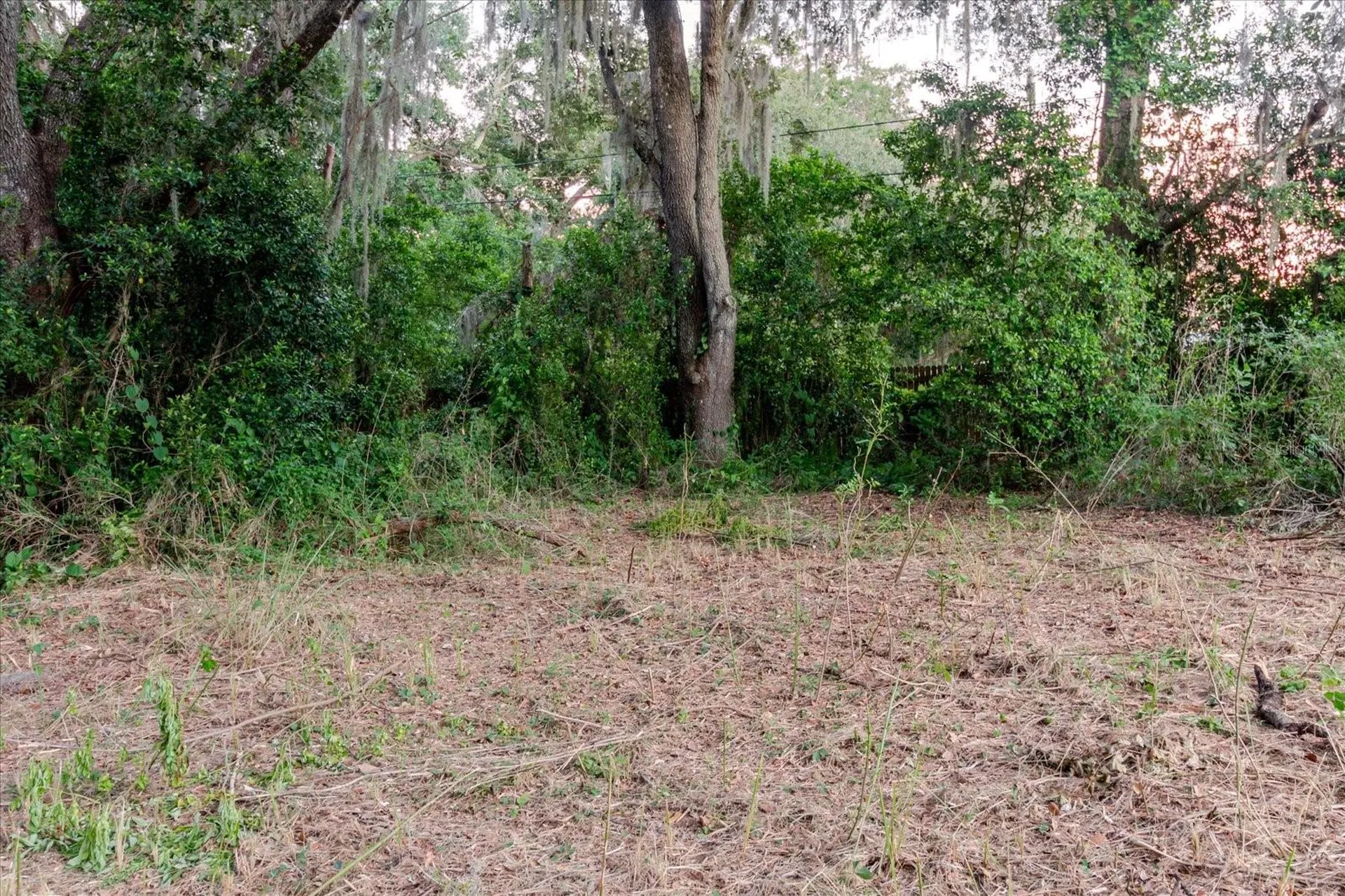 11152 Galaxy Lane Thonotosassa FL 33592