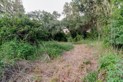 11152 Galaxy Lane Thonotosassa FL 33592