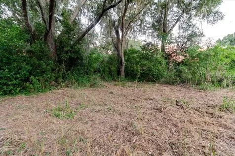 11152 Galaxy Lane Thonotosassa FL 33592