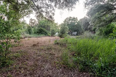 11152 Galaxy Lane Thonotosassa FL 33592