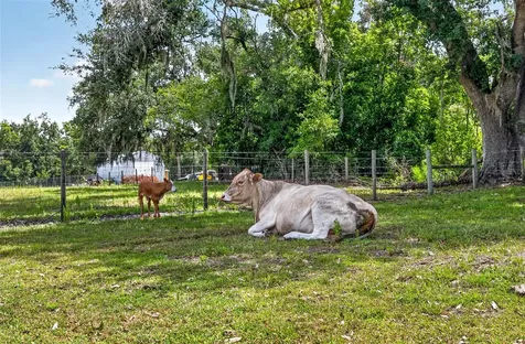 5702 Tindale Road Plant City FL 33565