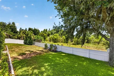 31218 Alchester Wesley Chapel FL 33543