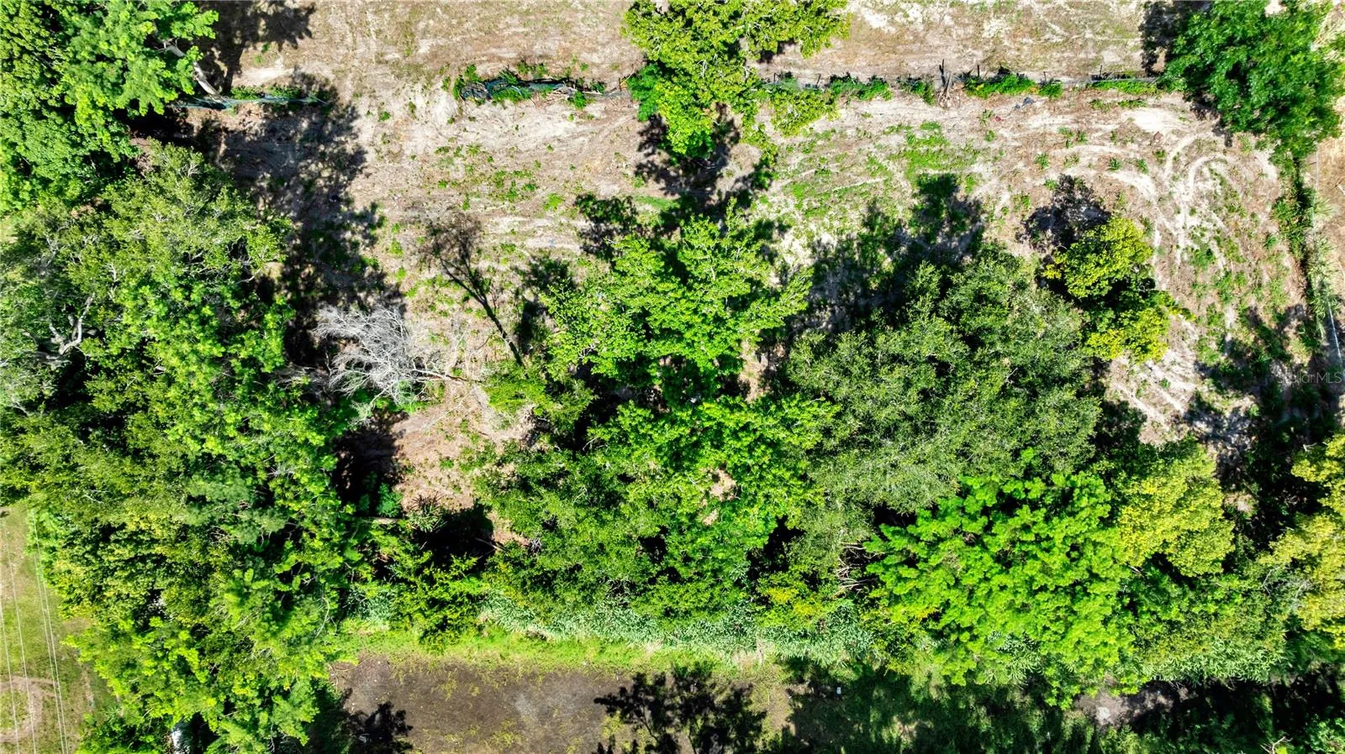 9924 Rockhill Road Thonotosassa FL 33592