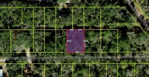 NE 112th Terrace Fort Mc Coy FL 32134