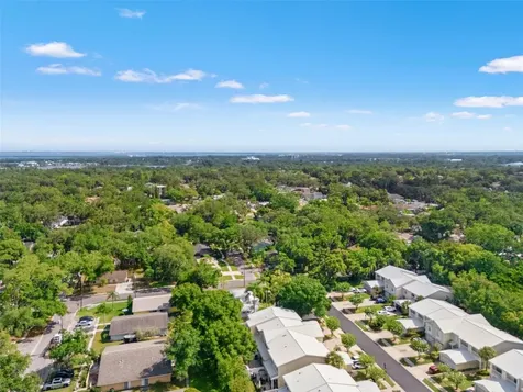 902 Woodbridge Court Safety Harbor FL 34695