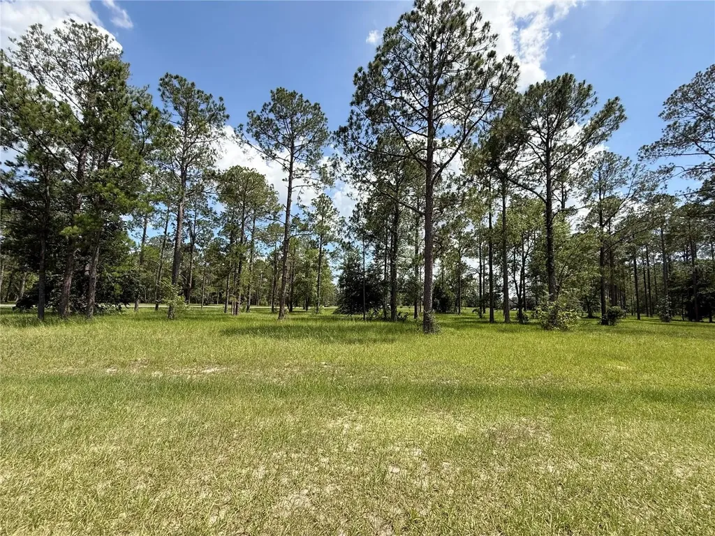 35135 Pinegate Trail Eustis FL 32736