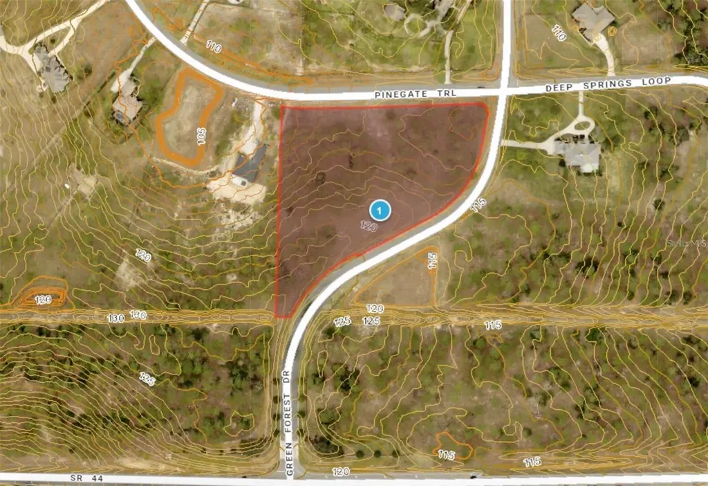 35135 Pinegate Trail Eustis FL 32736