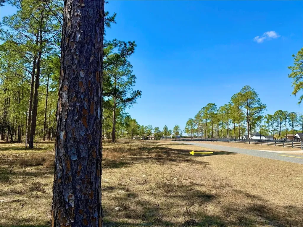 35135 Pinegate Trail Eustis FL 32736