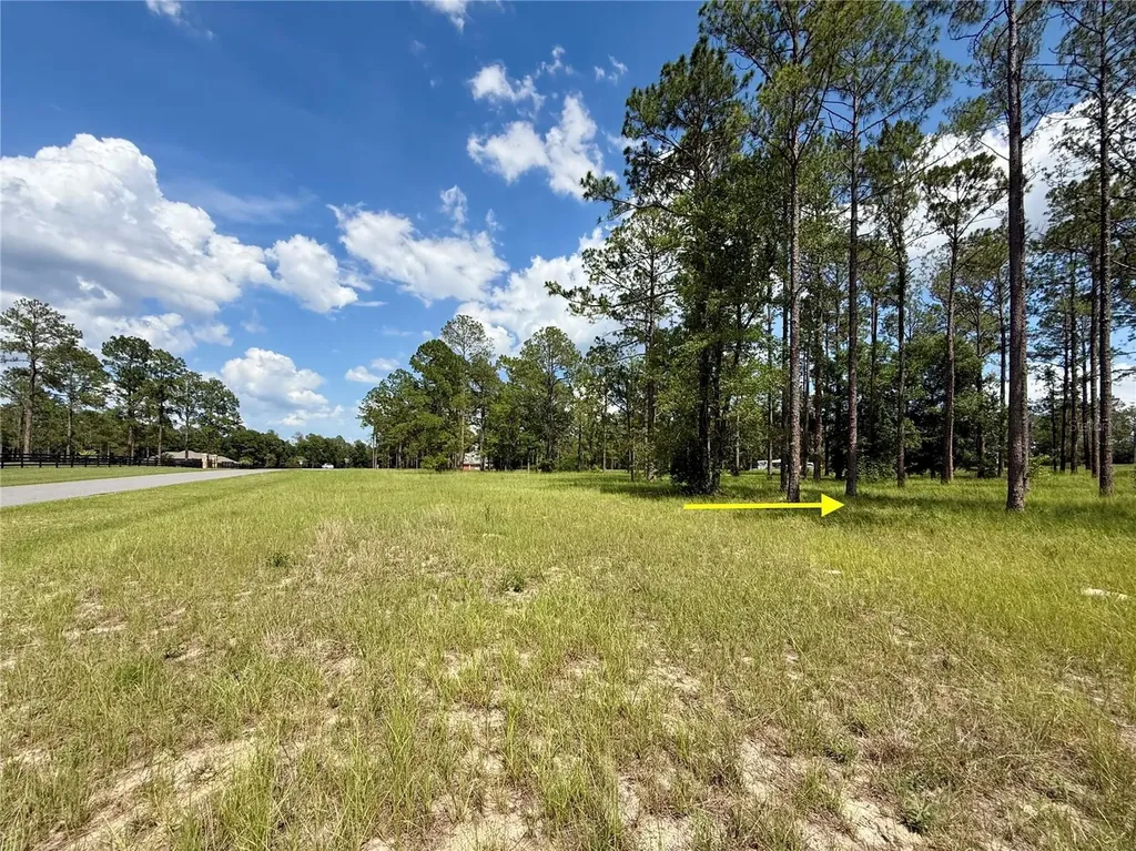 35135 Pinegate Trail Eustis FL 32736