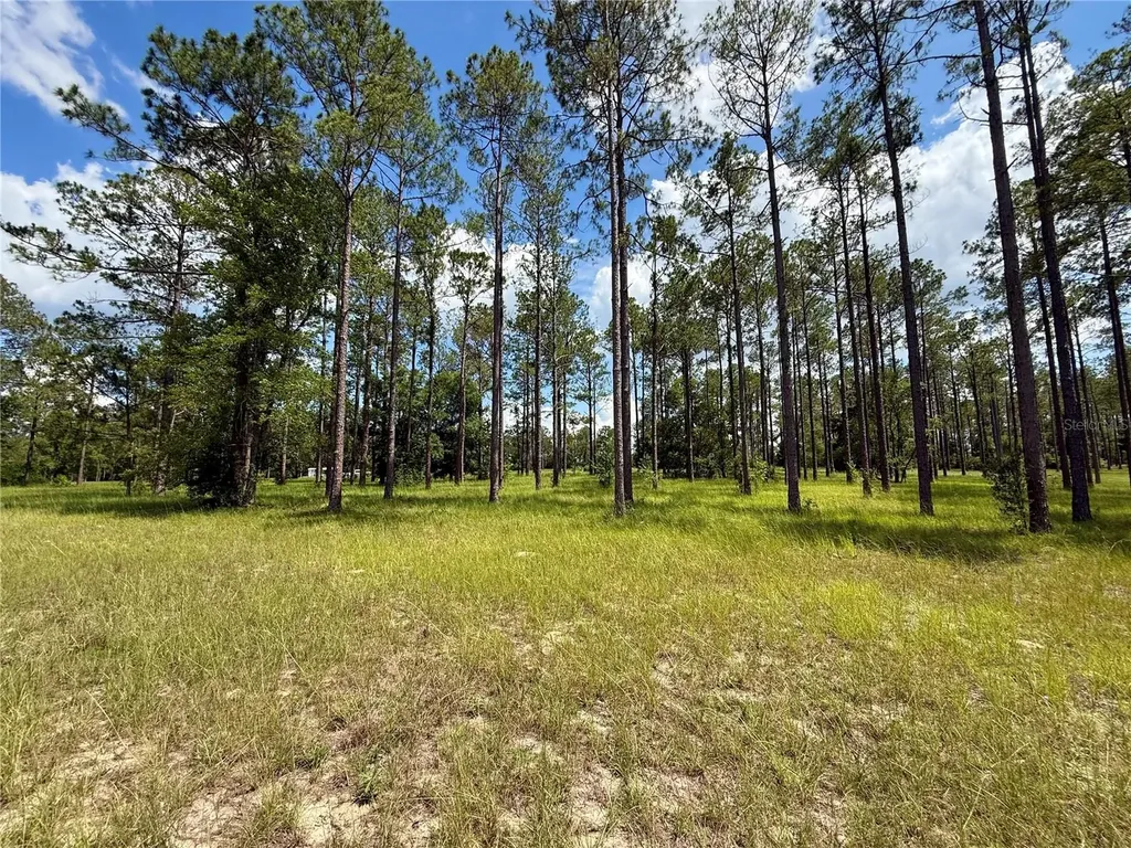 35135 Pinegate Trail Eustis FL 32736