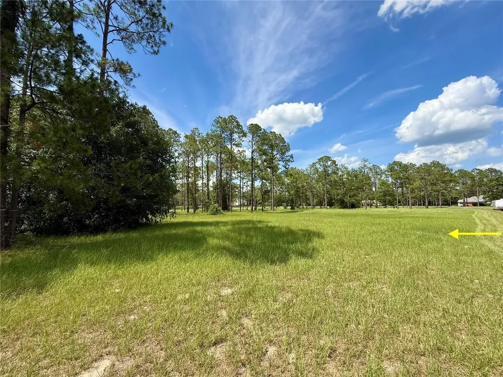 35135 Pinegate Trail Eustis FL 32736
