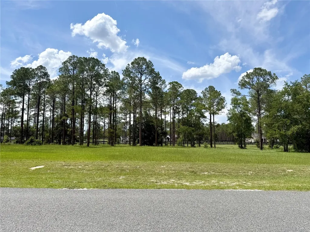 35135 Pinegate Trail Eustis FL 32736