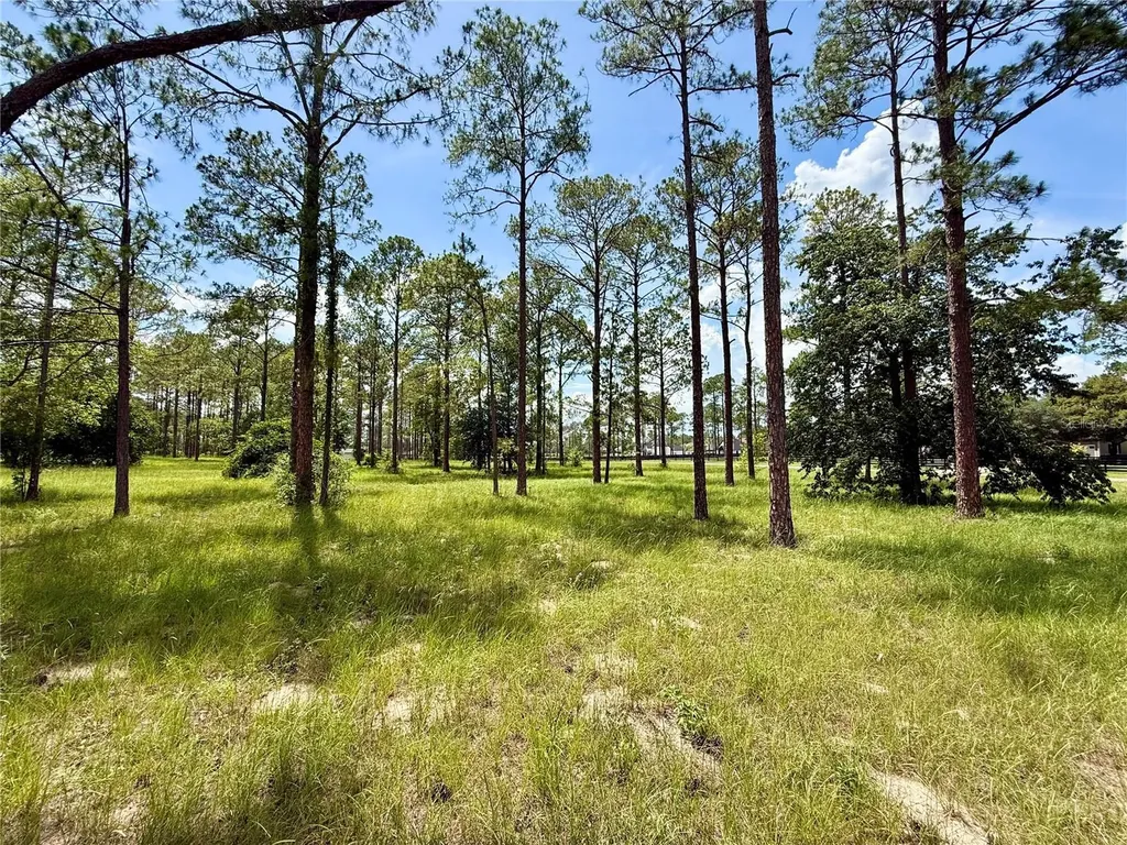 35135 Pinegate Trail Eustis FL 32736