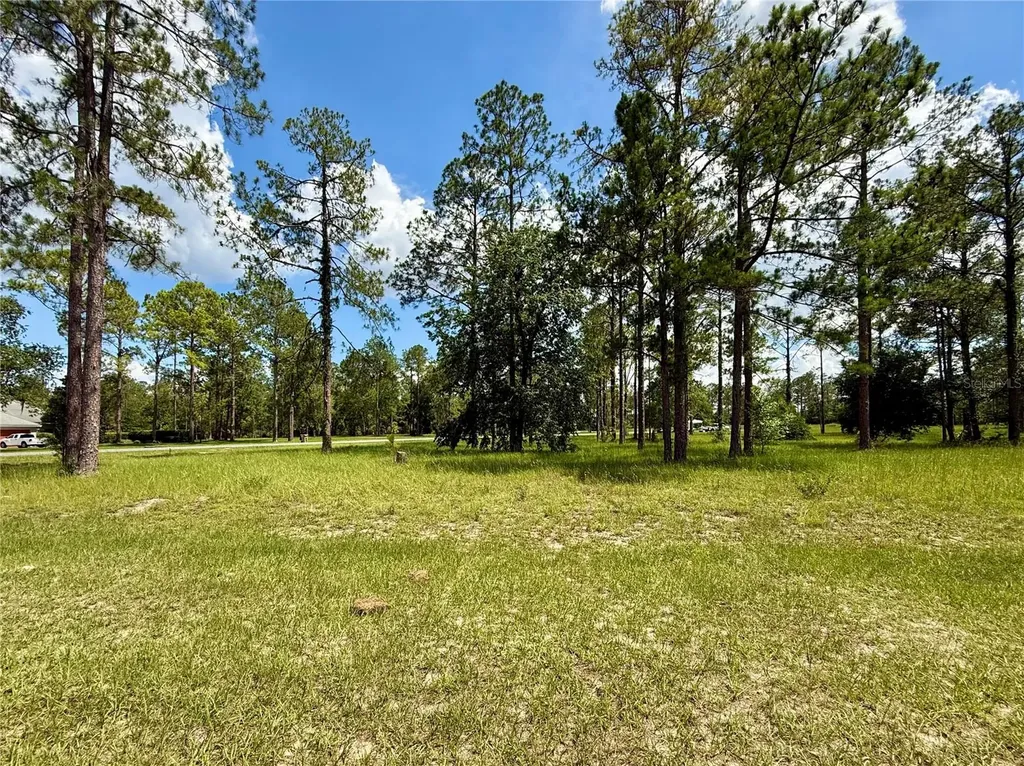 35135 Pinegate Trail Eustis FL 32736