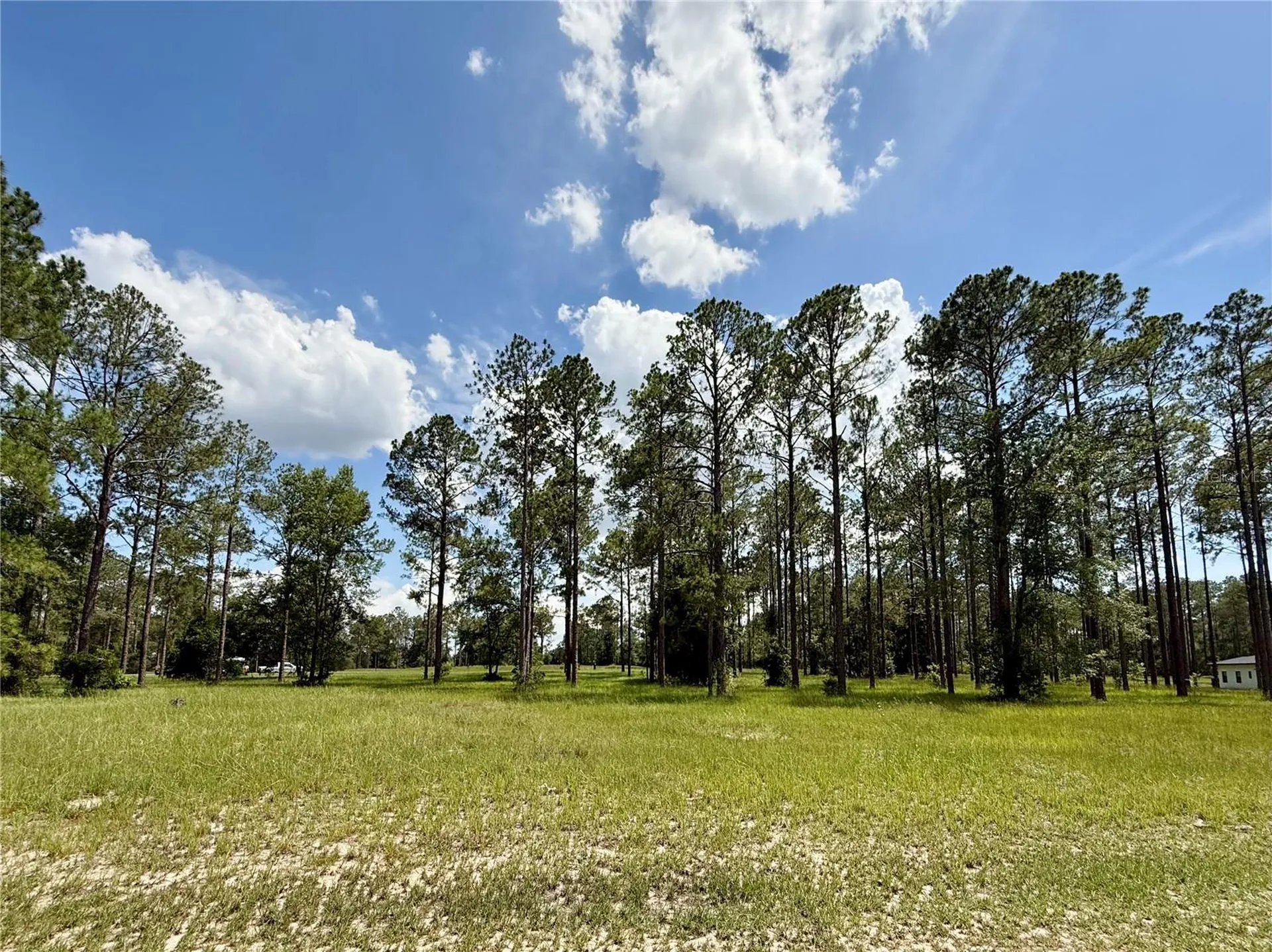 35135 Pinegate Trail Eustis FL 32736