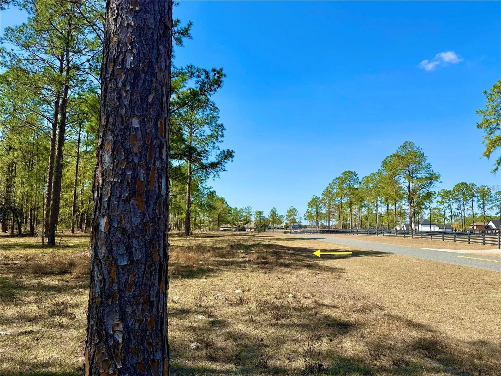 35135 Pinegate Trail Eustis FL 32736