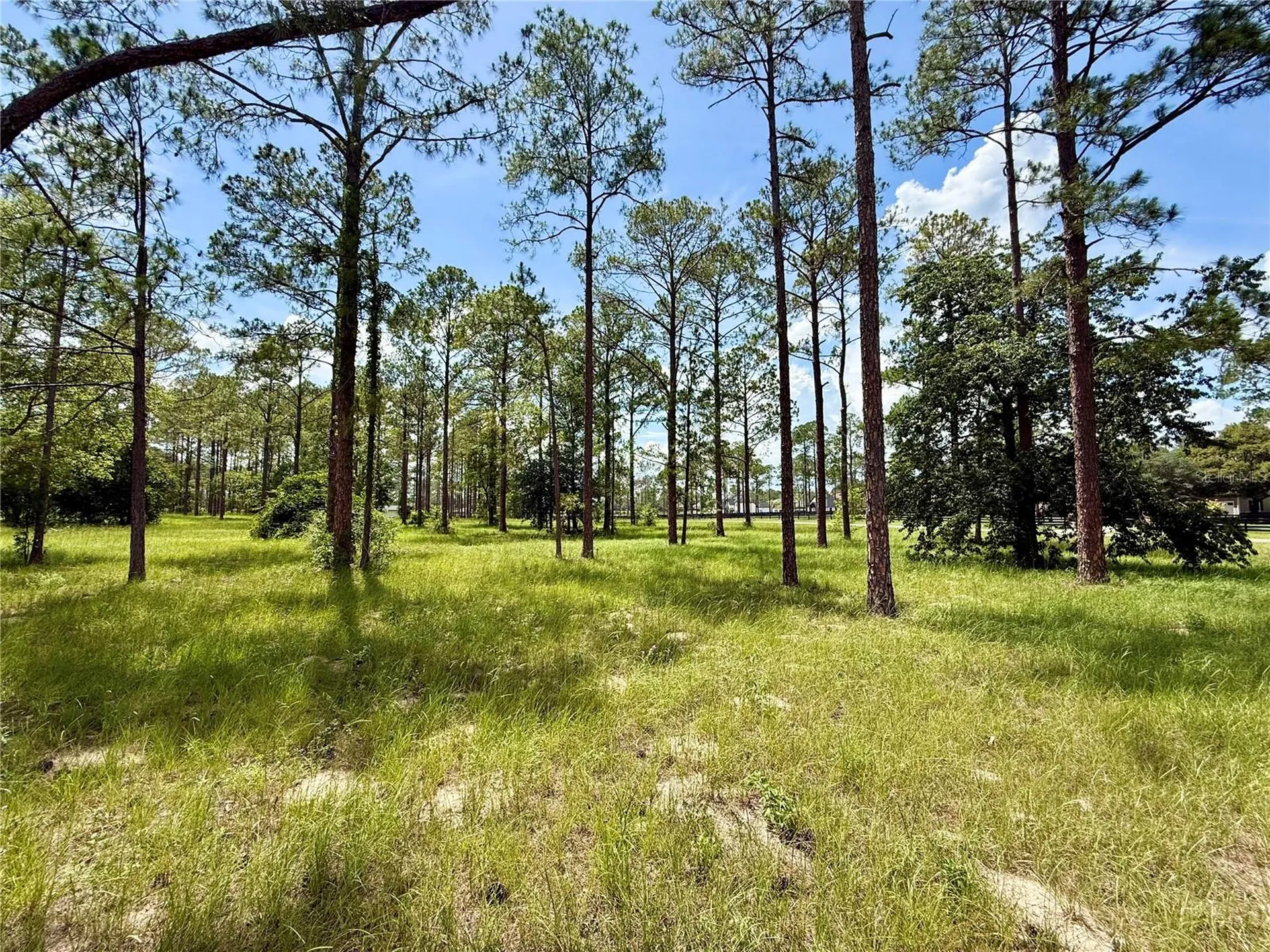 35135 Pinegate Trail Eustis FL 32736