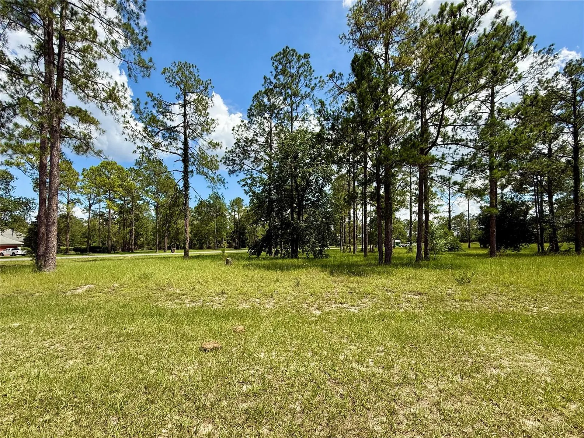 35135 Pinegate Trail Eustis FL 32736