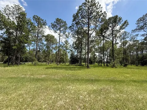 35135 Pinegate Trail Eustis FL 32736