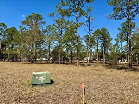 35135 Pinegate Trail Eustis FL 32736