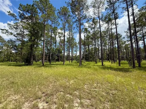 35135 Pinegate Trail Eustis FL 32736
