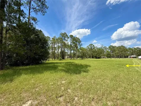 35135 Pinegate Trail Eustis FL 32736