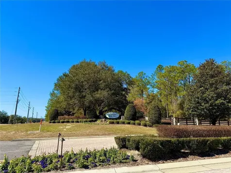 35135 Pinegate Trail Eustis FL 32736