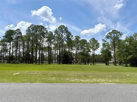 35135 Pinegate Trail Eustis FL 32736