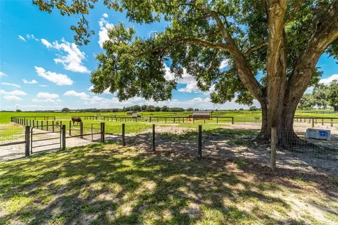 1231 NW 102nd Boulevard Wildwood FL 34785