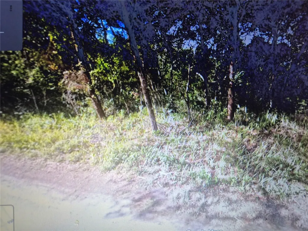 3003 Haddock Drive Sebring FL 33870