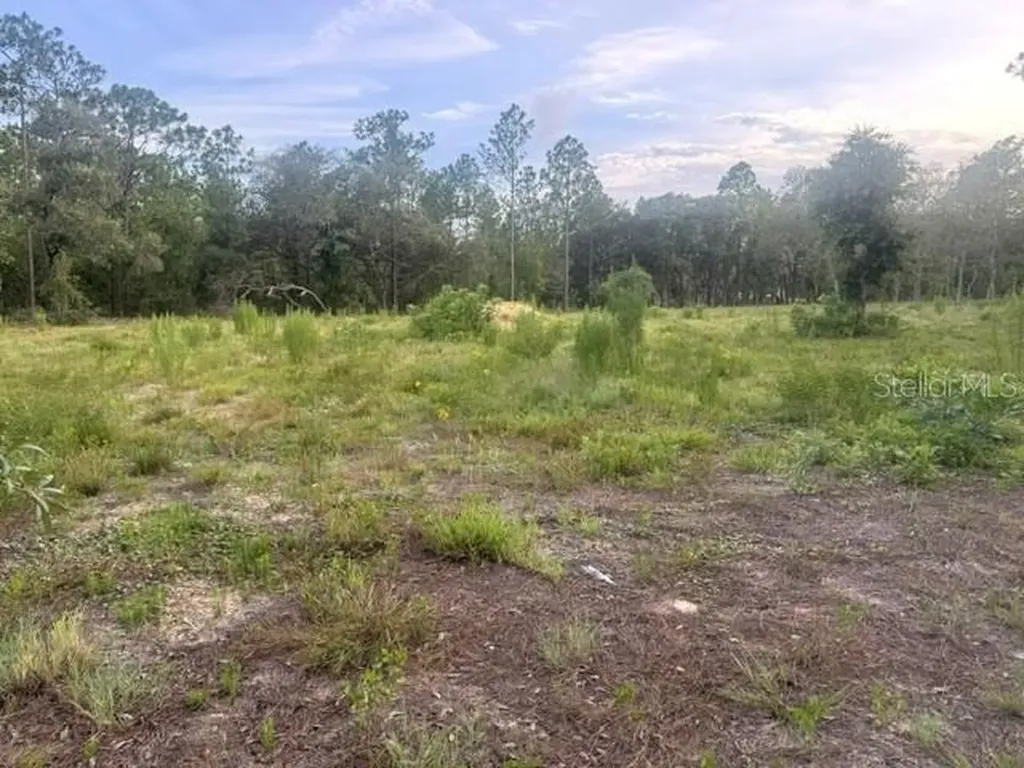 Vacant Land SW Mineola Lane Dunnellon FL 34431