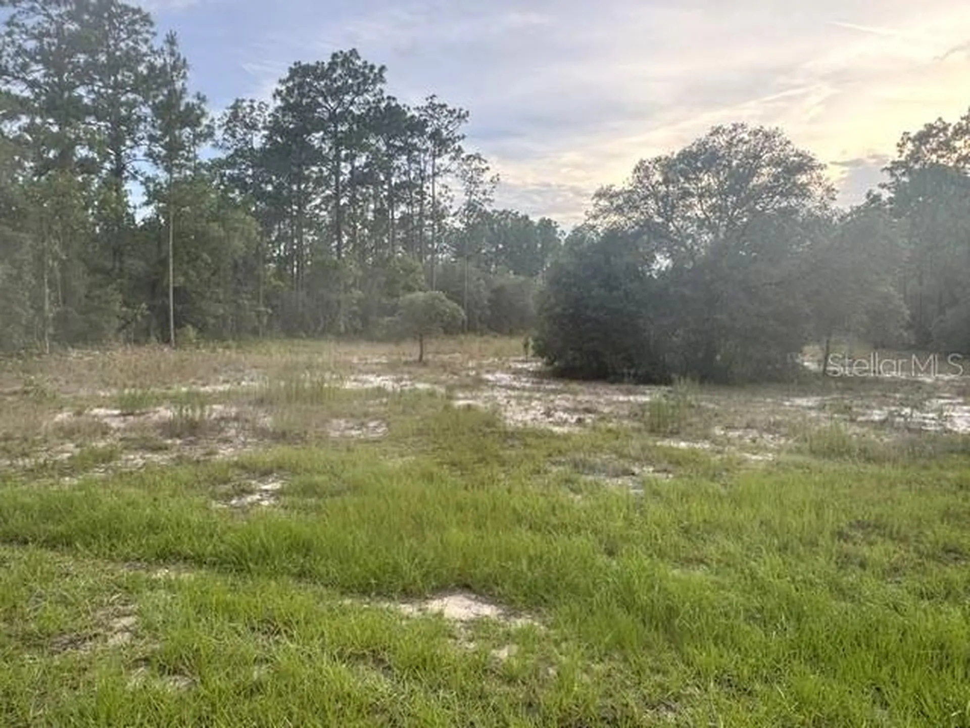 Vacant Land SW Mineola Lane Dunnellon FL 34431