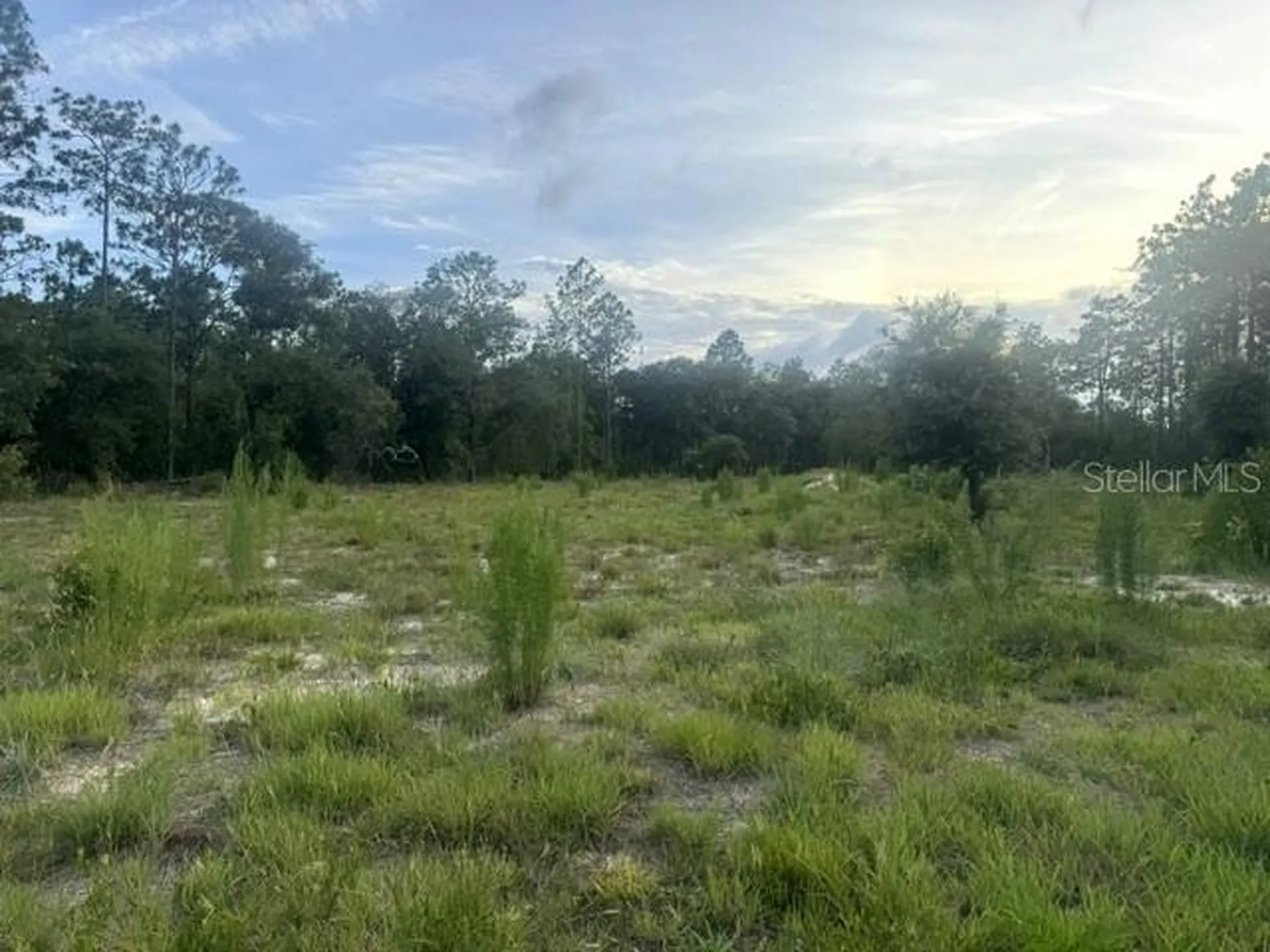 Vacant Land SW Mineola Lane Dunnellon FL 34431