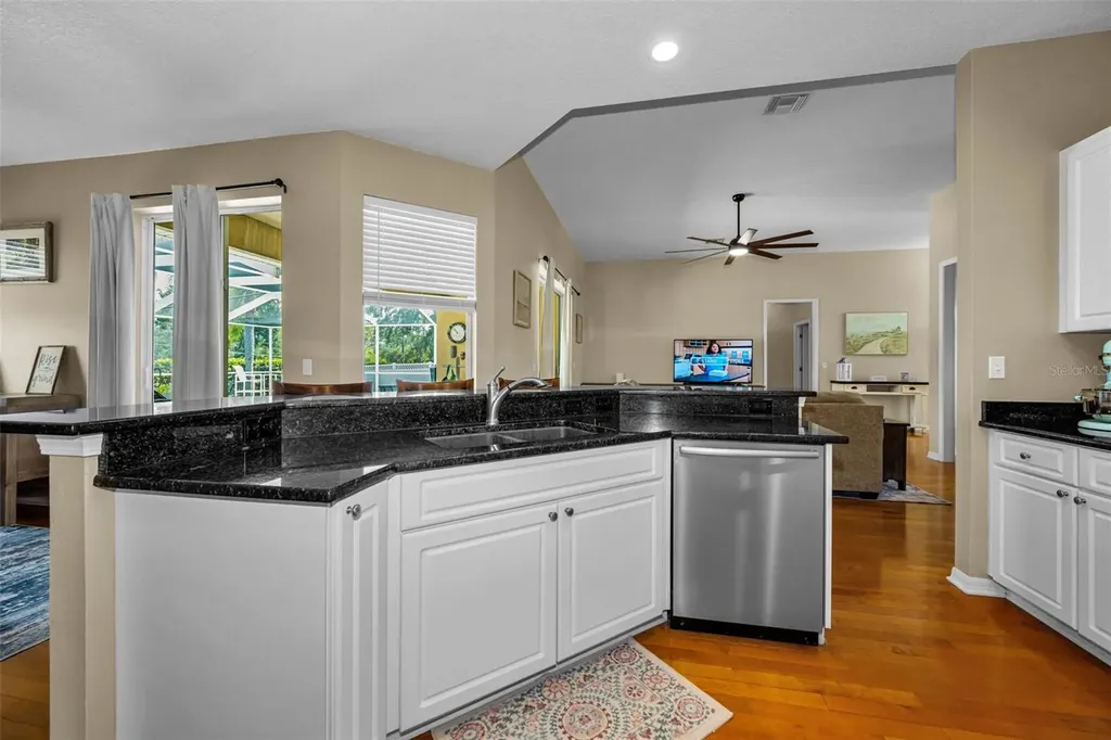 22441 Panther Run Court Land O Lakes FL 34639
