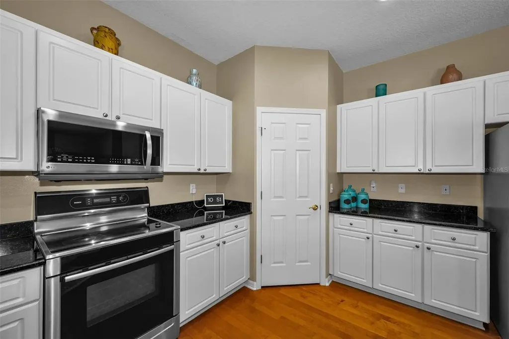 22441 Panther Run Court Land O Lakes FL 34639