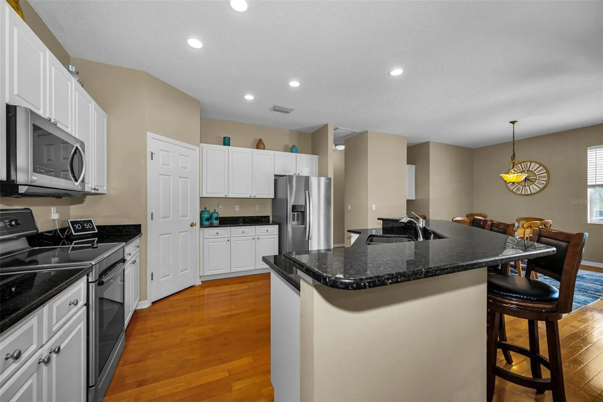 22441 Panther Run Court Land O Lakes FL 34639