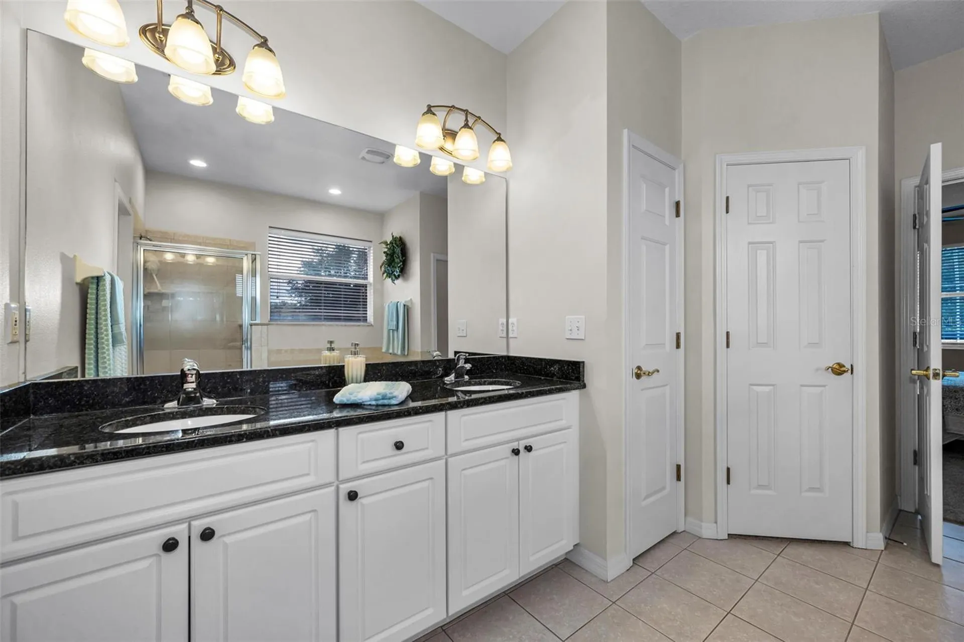 22441 Panther Run Court Land O Lakes FL 34639