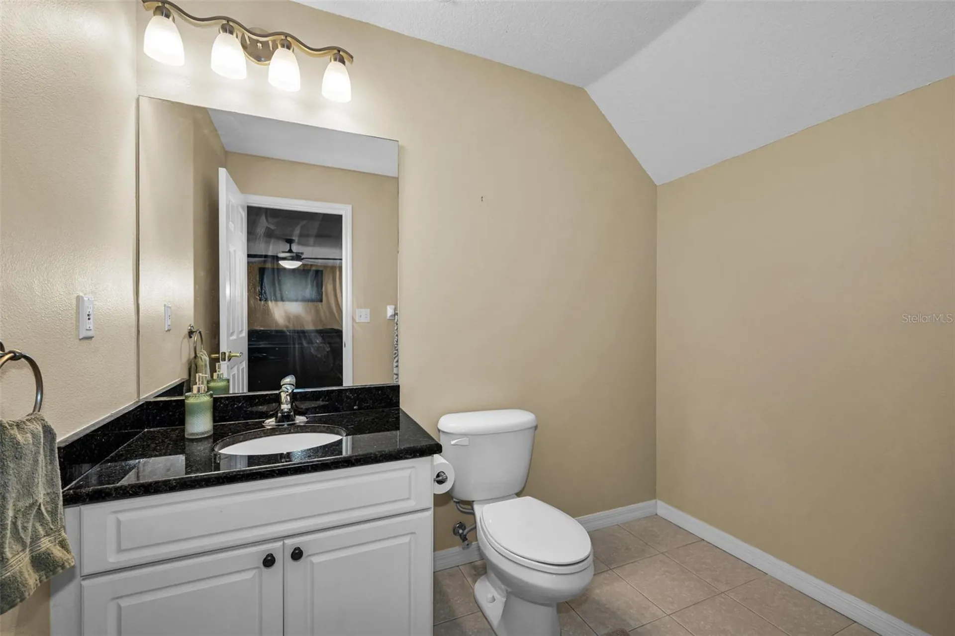 22441 Panther Run Court Land O Lakes FL 34639